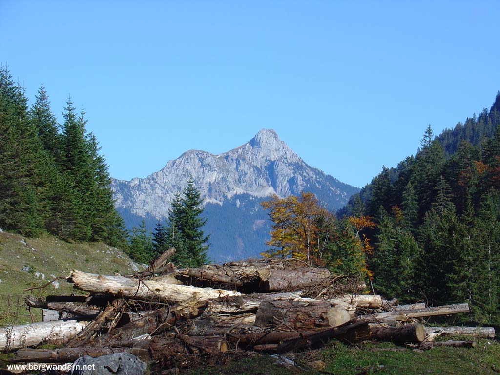 Blick zurück auf den Säuling